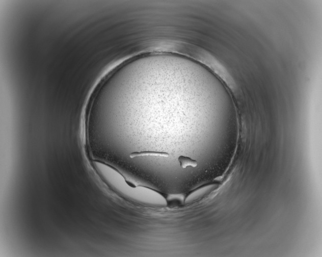 X0000098091036200804110958