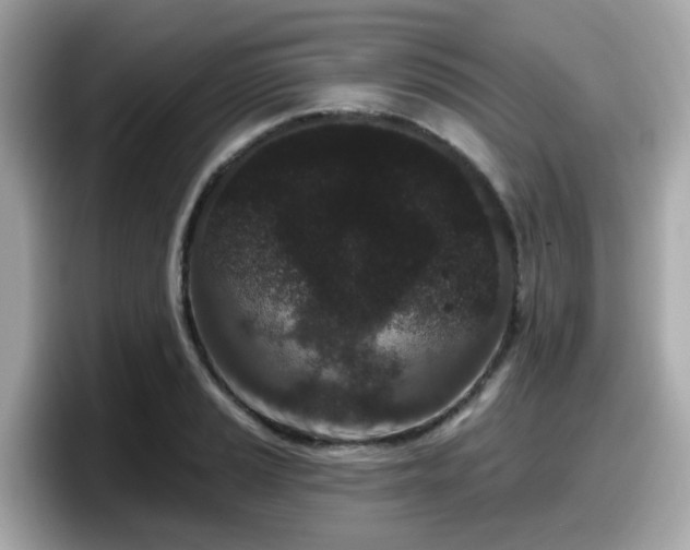 X0000098091037200804110958