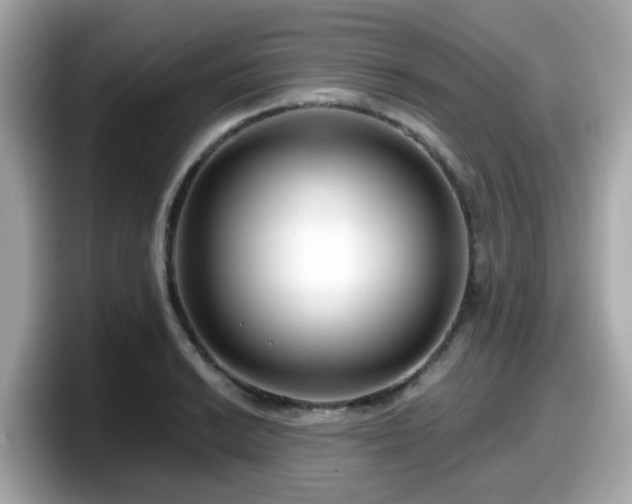 X0000098091038200804110958