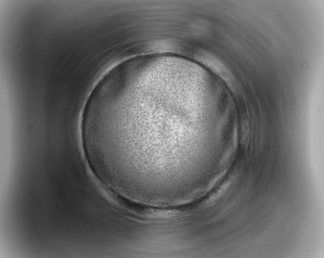 X0000098091039200804110958