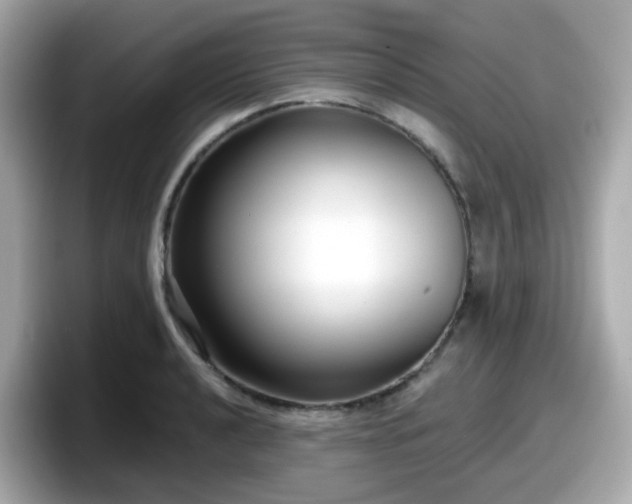 X0000098091040200804110958