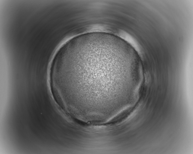 X0000098091043200804110958