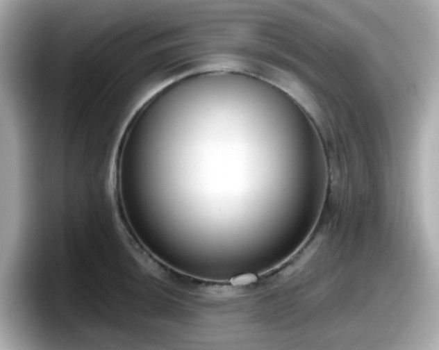 X0000098091044200804110958