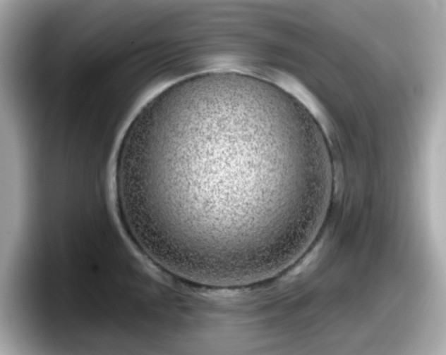 X0000098091048200804110958