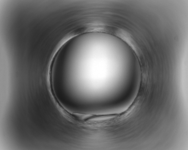 X0000098091050200804110958