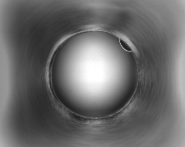 X0000098091051200804110959