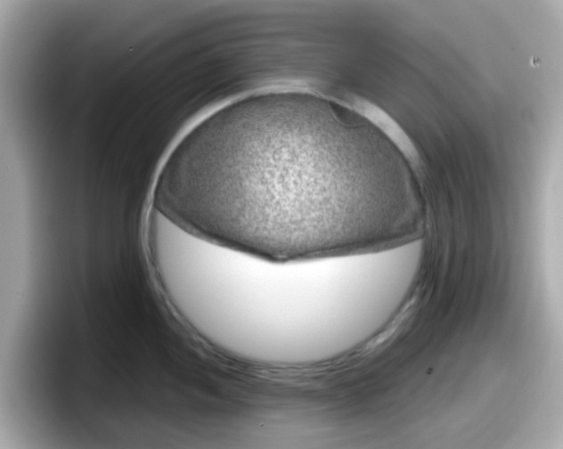 X0000098091052200804110959
