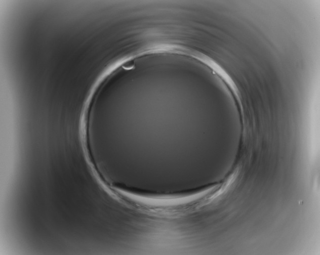 X0000098091053200804110959