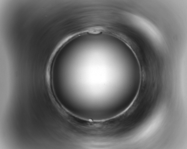 X0000098091054200804110959