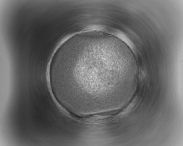 X0000098091055200804110959