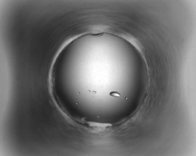 X0000098091056200804110959