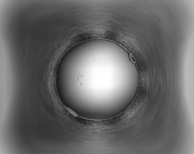 X0000098091057200804110958