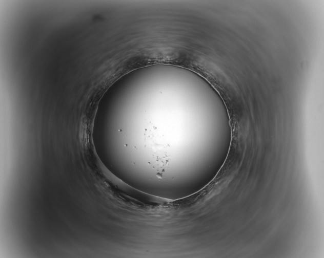 X0000098091058200804110958