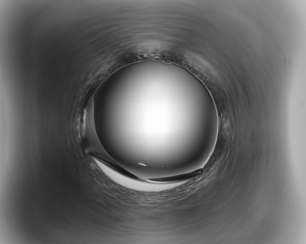 X0000098091060200804110958