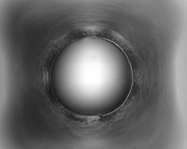 X0000098091061200804110958