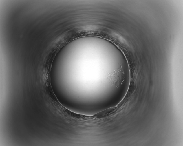X0000098091062200804110958