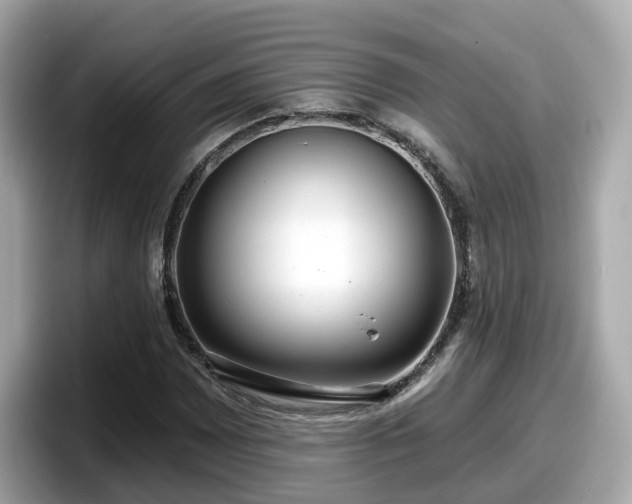 X0000098091065200804110958