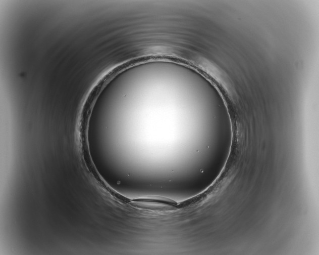 X0000098091068200804110958