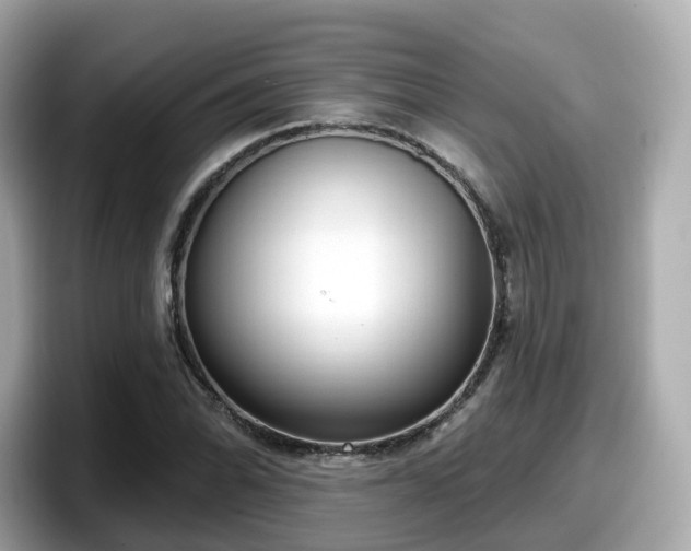 X0000098091070200804110958