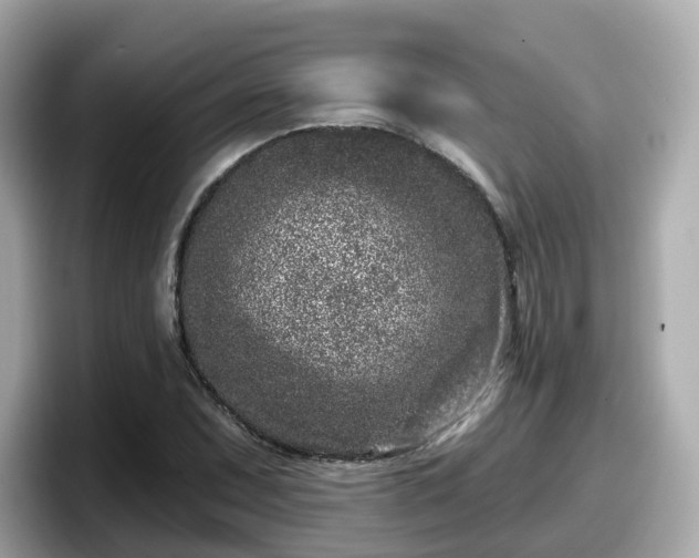 X0000098091071200804110958
