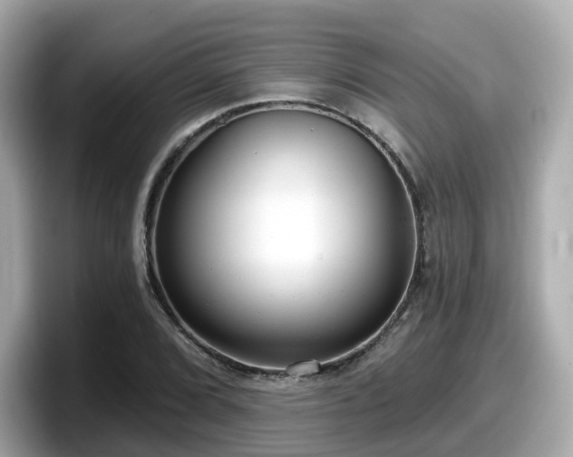 X0000098091072200804110958