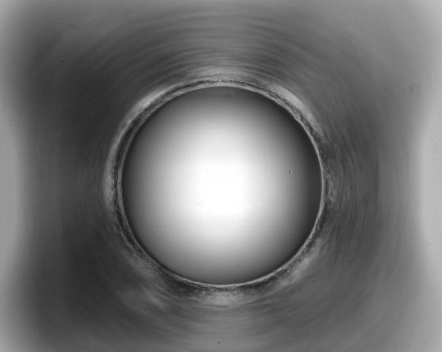 X0000098091074200804110958