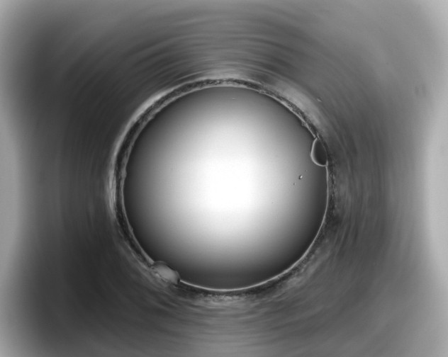 X0000098091076200804110958
