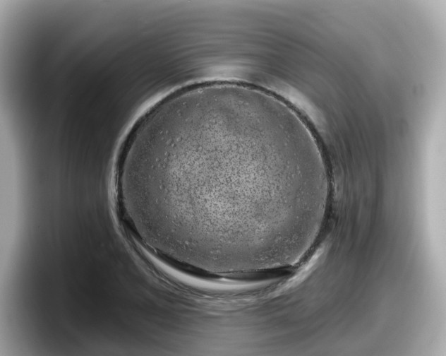 X0000098091077200804110958