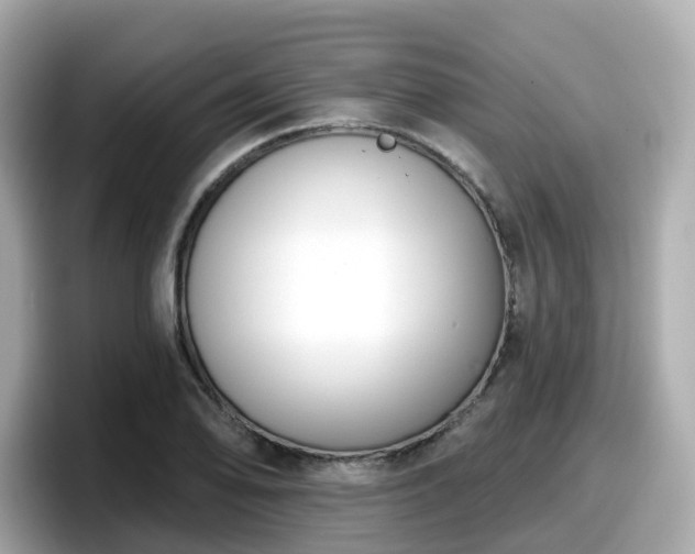 X0000098091078200804110958