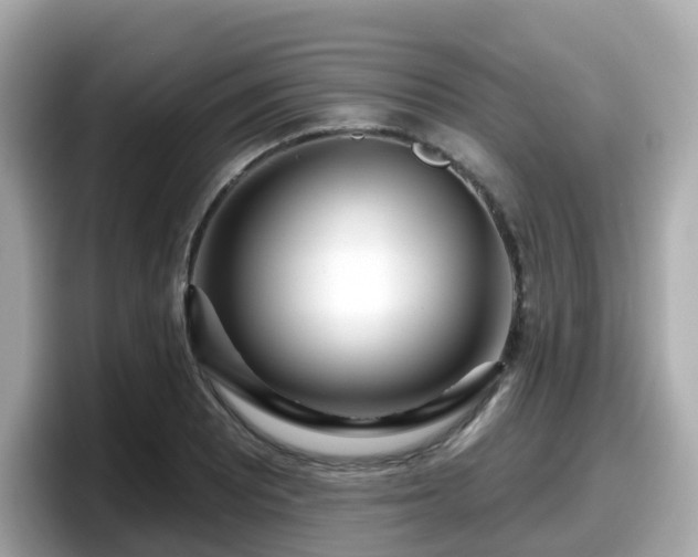X0000098091081200804110958