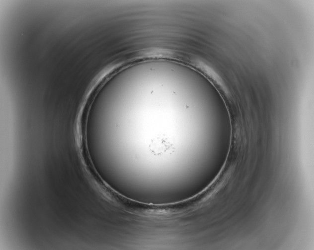 X0000098091082200804110958
