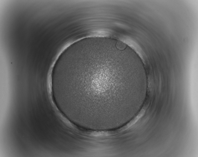 X0000098091083200804110958