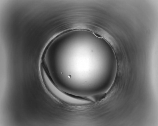 X0000098091084200804110958