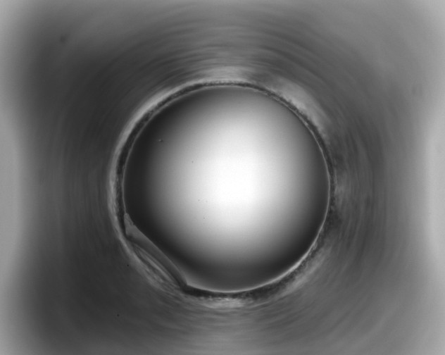 X0000098091085200804110958
