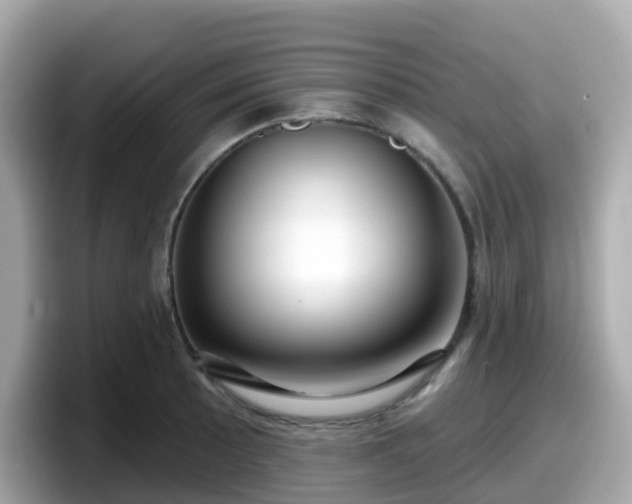 X0000098091089200804110958