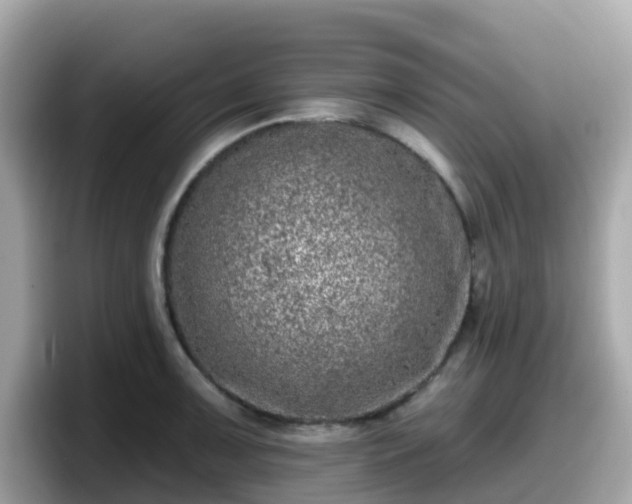 X0000098091091200804110958