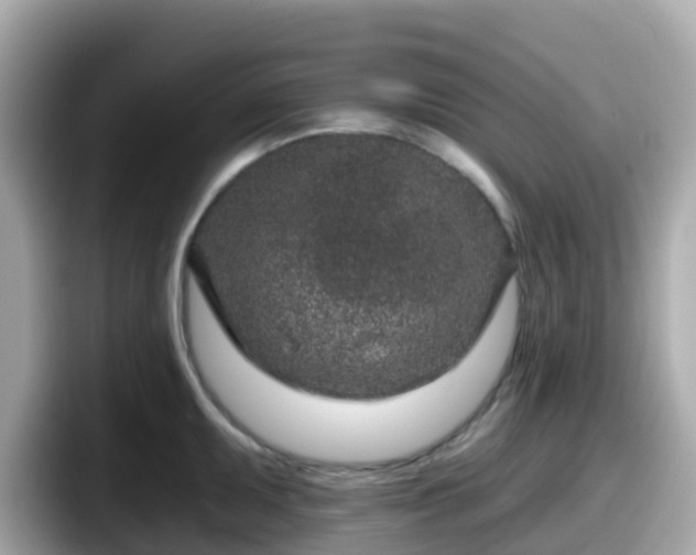 X0000098091095200804110957