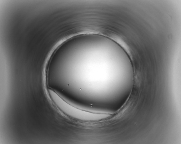 X0000098091096200804110957