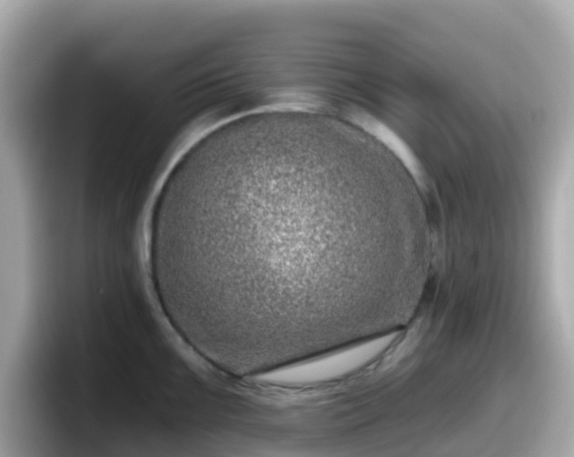X0000098091099200804110957