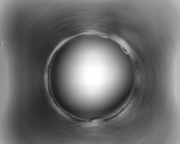 X0000098091100200804110957