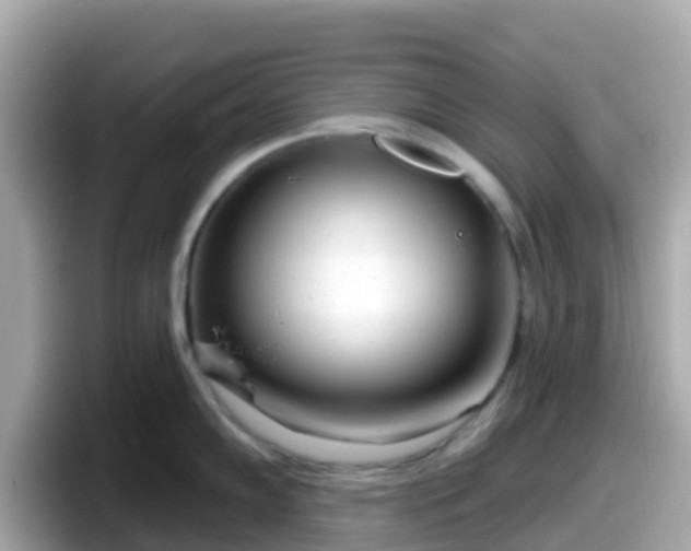 X0000098091102200804110957