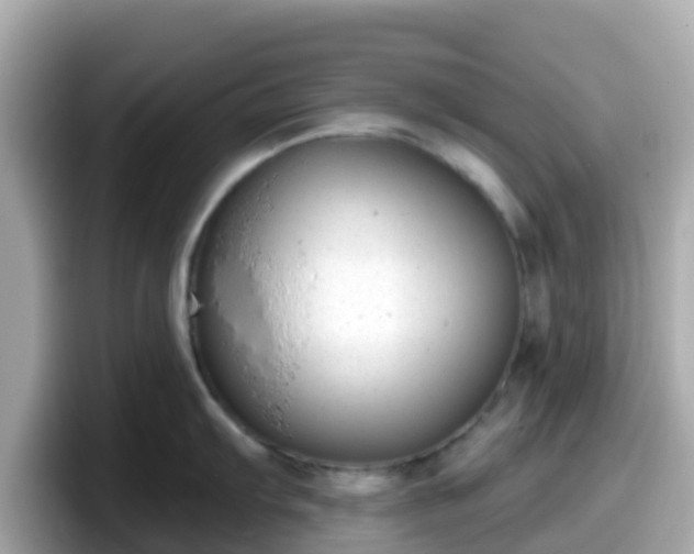 X0000098091103200804110957