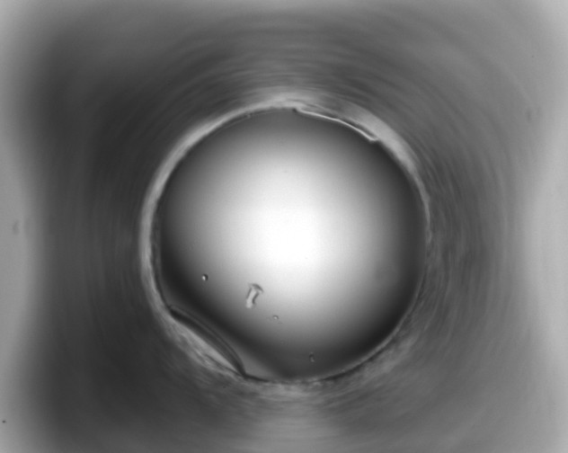 X0000098091104200804110957