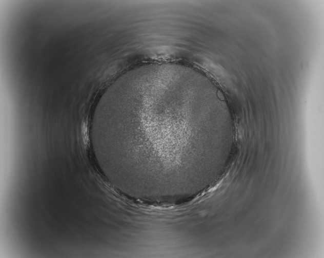 X0000098091106200804110957