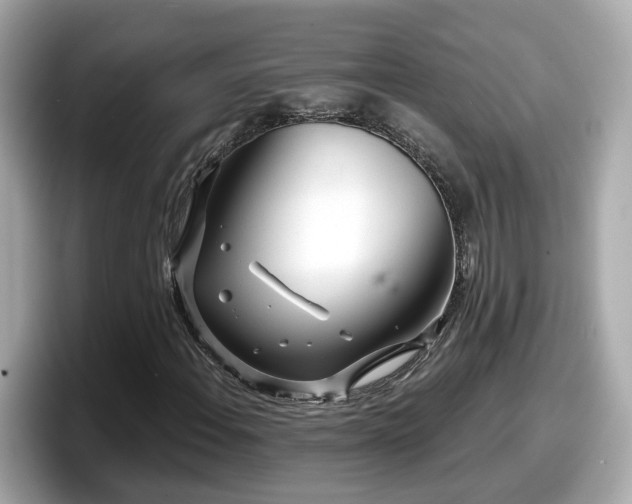X0000098091108200804110957