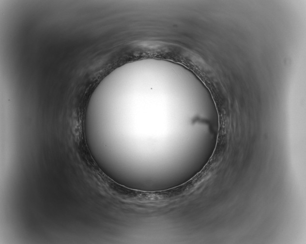 X0000098091109200804110957