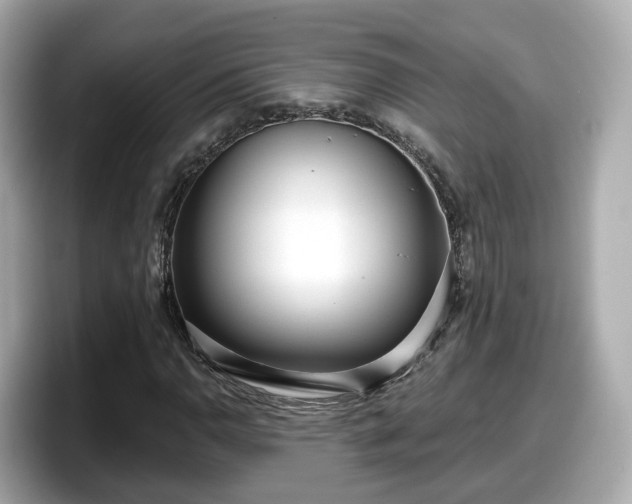 X0000098091110200804110957