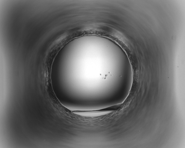 X0000098091111200804110957