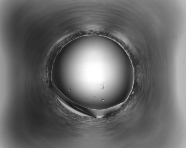 X0000098091112200804110957