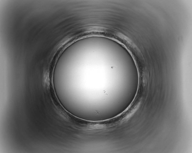 X0000098091113200804110957